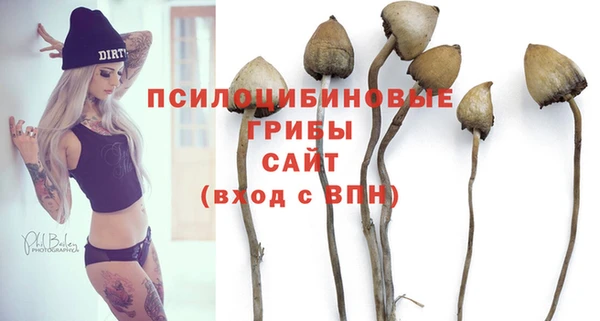 твердый Алексеевка