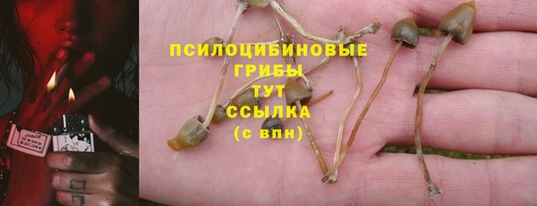 спиды Алзамай