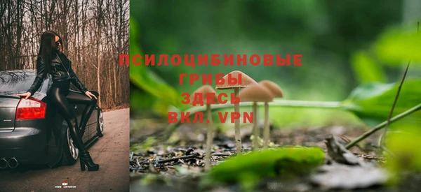 твердый Алексеевка